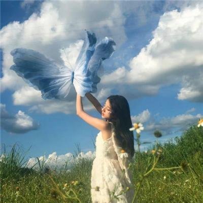 南极穿越 海报
